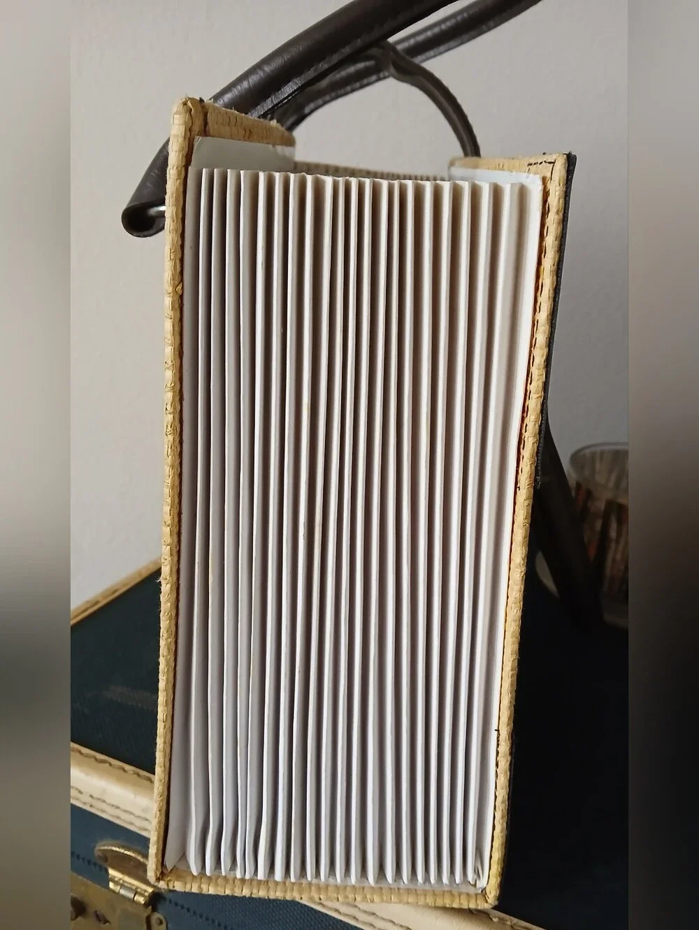 Aaron Brothers Woven Expanding File Photo Organizer Fashion Bag 21 Slots Recipes